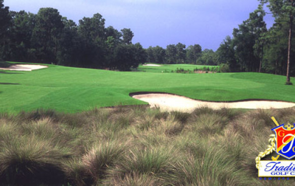 Tiger Plantation Myrtle Beach Tiger Plantation Myrtle Beach