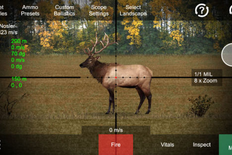 Hunting Simulator